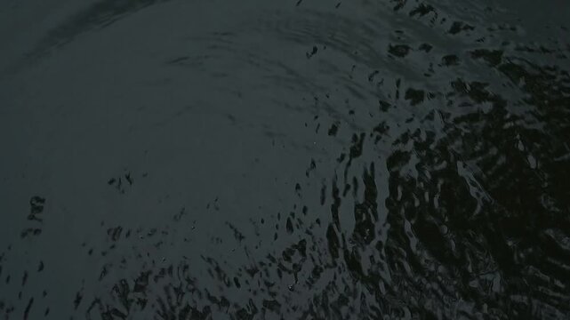 Fisherman releasing a small common roach back into the river.