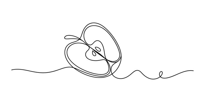 A single continuous line drawing of a fresh apple half showing the core and seeds in a simple minimalist style for healthy food concepts design Vector, illustration