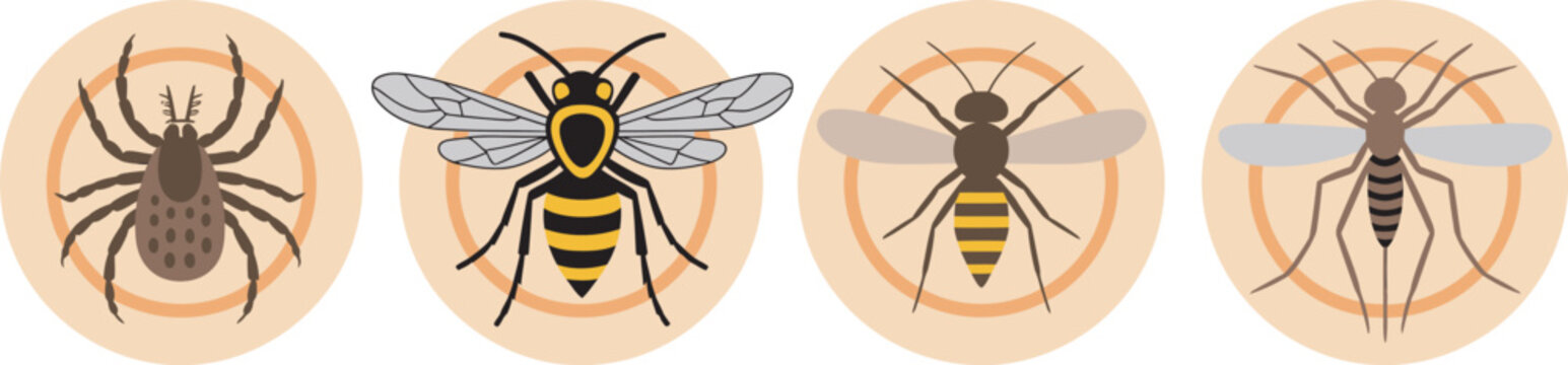 Insect bites set with ticks, mites, bee with sting, bed bugs, and mosquito, showing allergic reactions, itching, redness, and skin irritation symptoms, clean flat vector illustration collection ideal 