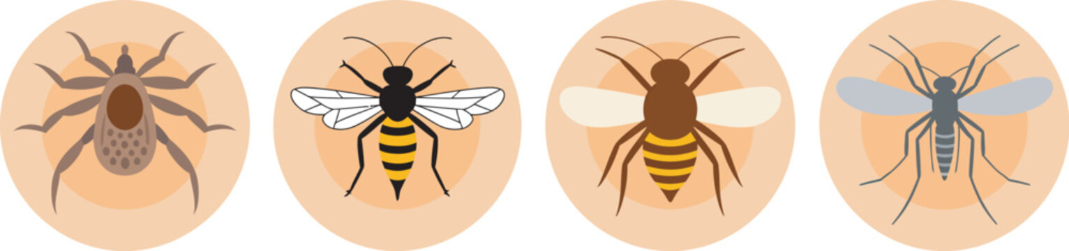 Insect bites set featuring ticks, mites, bee with sting, bed bugs, and mosquito, red marks and spots, allergy, rash, and skin redness after bloodsuckers, flat vector illustrations 
