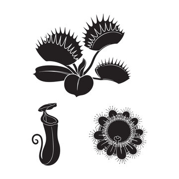 Carnivorous plants venus flytrap pitcher silhouette set