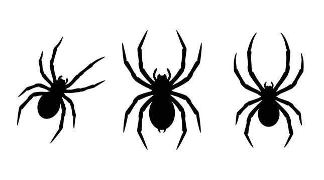 Black widow spider silhouettes