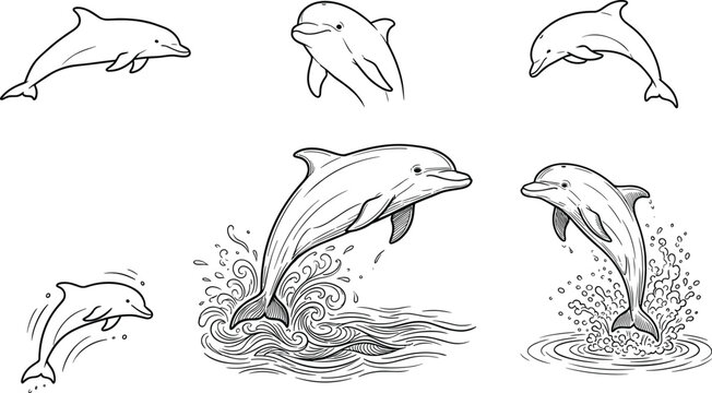 Collection of six dolphin illustrations featuring leaping, swimming, and wave designs in dynamic black-and-white line art style