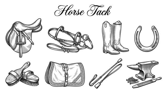 Vintage Horse Tack and Equestrian Equipment Set, Hand Drawn Engraving Style Vector Illustration with Saddle Bridle Boots and Horseshoe