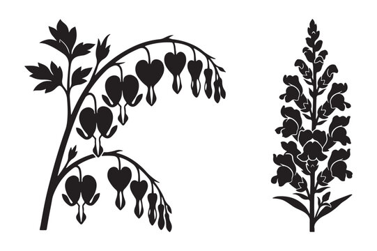 Vector illustration of bleeding heart flowers and snapdragons with snapdragon