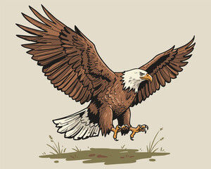 Obraz premium Bald Eagle Illustration with Wings Spread and Talons Extended for Landing