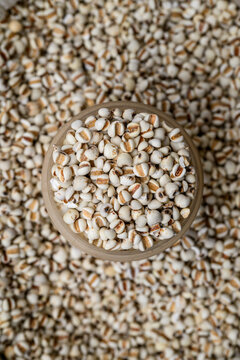 Top view of raw Job's tears seeds stacked in a measuring bowl on a pile of coix grains inside a sack, traditional dry ingredient market and agricultural product for food industry