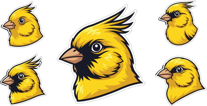 Yellow Cardinal Bird Mascot Logo Set with Crested Finch Head Icons and Esports Vector Graphics on Dark Background