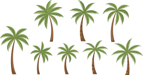 Tropical palm tree vector illustration set with green fronds and curved trunks isolated on white background © Prodip