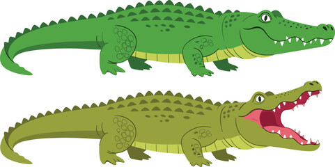 Fototapeta premium Cartoon crocodile vector illustration set with green reptiles, open mouth, sharp teeth, and side view poses