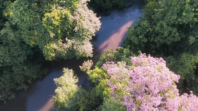 Cinematic Drone Footage of Leticia and Arara in the Amazon Rainforest &ndash; Colombia&rsquo;s Gateway to the Jungle and River Life