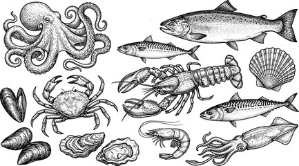 Vintage seafood engraved collection vector set featuring hand drawn detailed sketches of octopus lobster crab salmon shrimp squid mussels oyster and fish. © Hosneara
