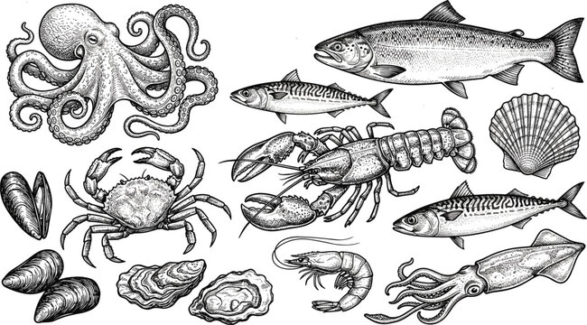 Vintage seafood engraved collection vector set featuring hand drawn detailed sketches of octopus lobster crab salmon shrimp squid mussels oyster and fish.
