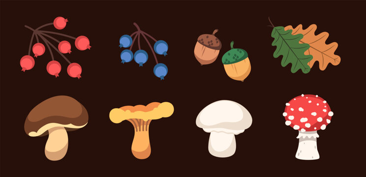Autumn forest mushrooms set isolated on dark background. Vector cozy autumn template. Composition with mushrooms, blueberries and red viburnum twigs. Seasonal organic berries and fungi collection