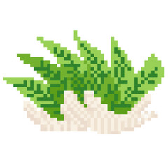 Fototapeta premium Tuber Pixel Art Arrowroot - Pixel Art Sample