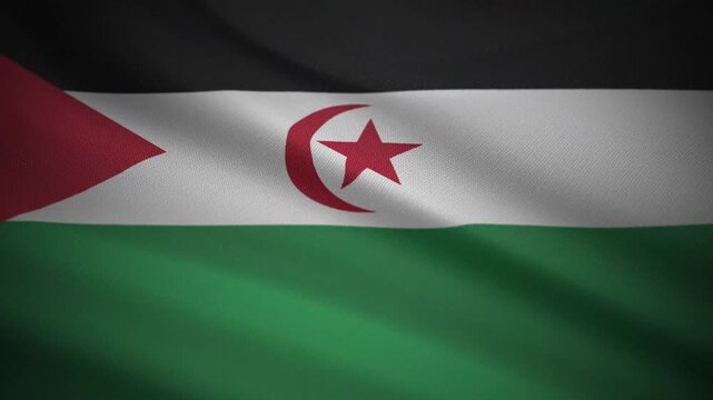 Western Sahara Flag Cloth Simulation &ndash; Motion Graphics