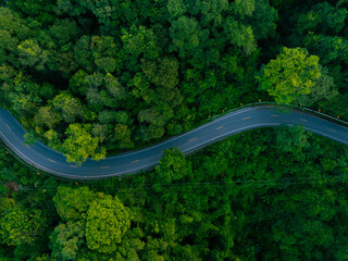 Green tropical forest with winding road and cars driving through nature. Strong visual metaphor for clean mobility, sustainable transport and future oriented economic growth. © Hand Robot
