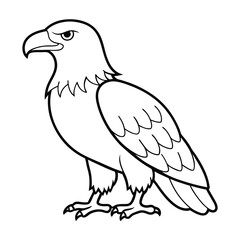 Fototapeta premium Bald Eagle Outline Vector Illustration in Black and White Line Art
