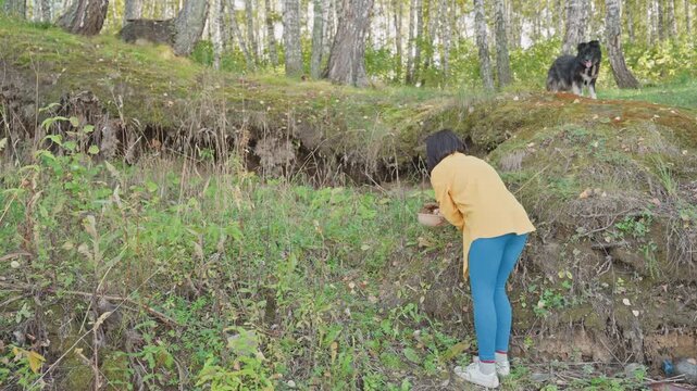 Woman climbs mossy bank to collect fungi, caucasian hiker forager moves up hillside with curious dog nearby, searching dense undergrowth and reaching into crevice for harvest, energetic outdoor mood