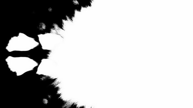 Abstract ink splatter expanding as a luma matte. Versatile motion graphics element for video editing and professional post-production.