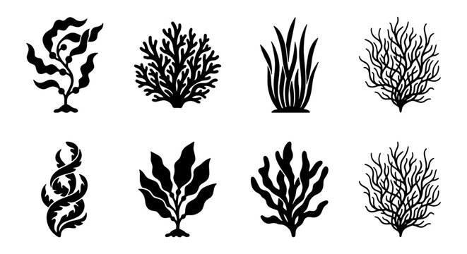 Set of 8 Black Seaweed Icons, Marine Algae Vector Graphics, Underwater Plant Silhouettes for Oceanographic and Aquatic Design