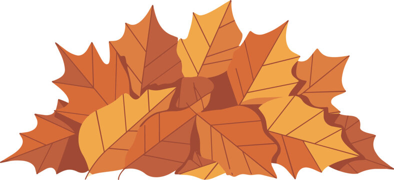 Autumn Maple Leaves Pile Illustration &ndash; Fall Season Vector Artwork