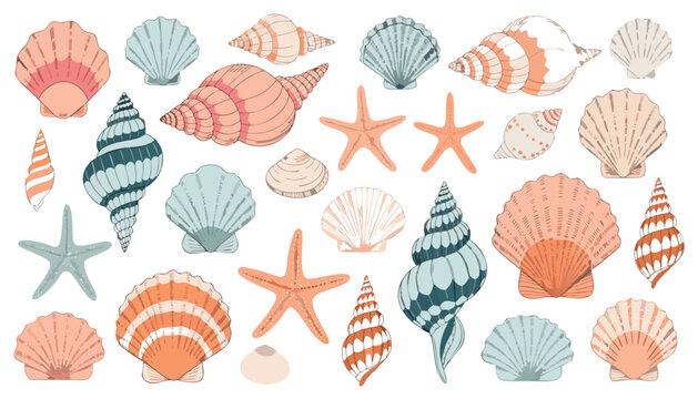 Watercolor style variety of seashells and starfish collection for design