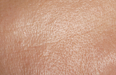 Fototapeta premium Texture of normal skin as background, closeup