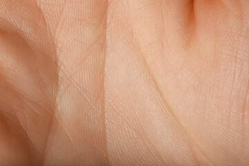 Fototapeta premium Texture of normal skin as background, closeup
