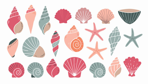 Assortment of stylized marine seashells and starfishes on white background