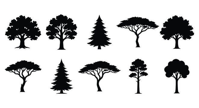 Black Silhouette Set of Various Tree Types on White Background