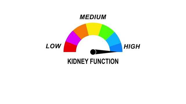 Animated kidney function meter decreasing from normal to low level, ideal for concepts related to poor kidney function, chronic kidney disease and dialysis
