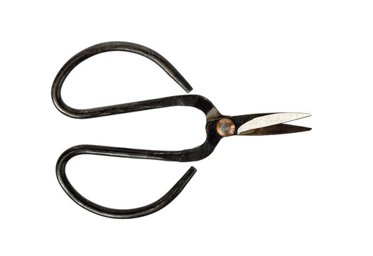 Old metal hand shears with curved spring handles isolated on transparent background. Vintage gardening tool for trimming plants, harvesting herbs, bonsai care, sewing, or craft use