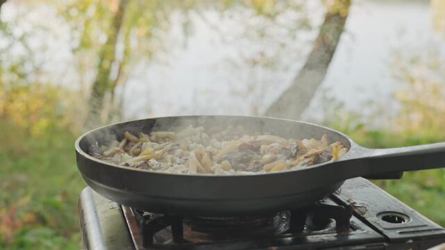 Camping pan sizzling over portable stove, seasoned skillet cooking mushrooms and onions, steam rising against birch trees by lake, morning mist and golden light, closeup of metal panhandle and burner,