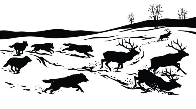 Dynamic black silhouette of wolves hunting deer in snowy forest wilderness scene isolated on white background