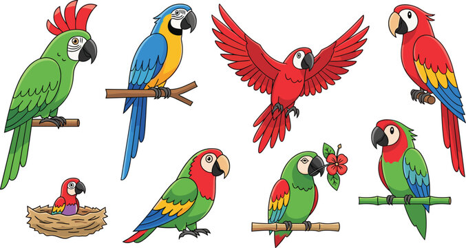 Colorful Parrot Icon Set Featuring Macaws, Parrots, and Tropical Birds on Branches, Nests, and Flowers for Animal and Nature Designs