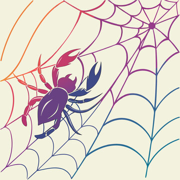 Colorful spider and web illustration