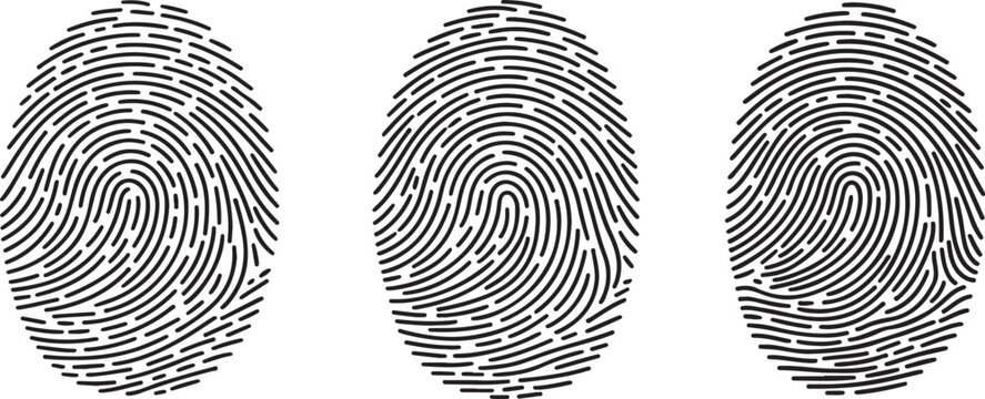Set of three fingerprint icons, vector illustration of human fingerprints