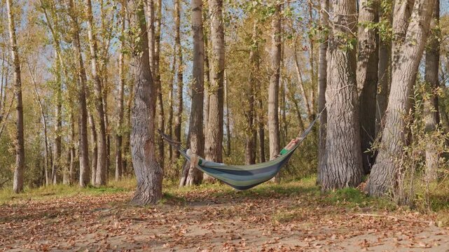 Sunlit hammock strung between birches, camping setup framed by tall trunks and scattered leaves, warm light and gentle sway, quiet ground cover and soft shadows great for gear showcase, outdoor