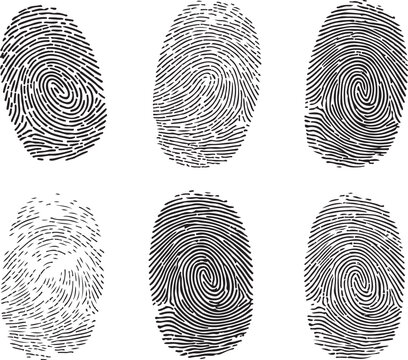 Set of six different fingerprint patterns