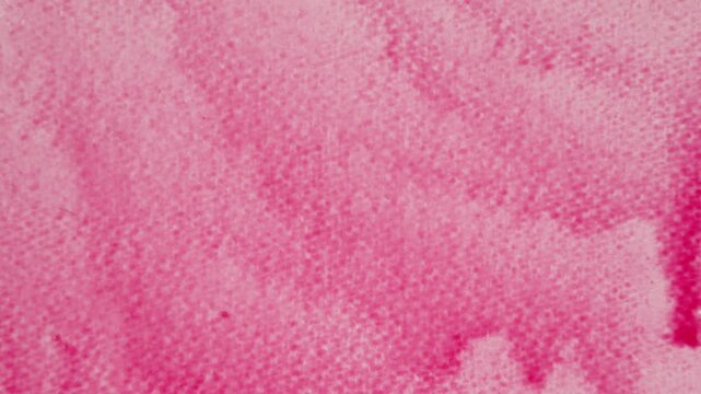 Close up of red watercolour drawing paints on paper. Artist draws with a brush, liquid analog effects for background with copy space for text in center. 