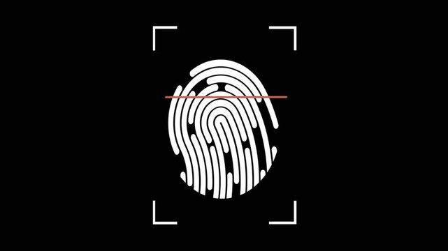 fingerprint animation good for looping video, element video, motion graphic, etc