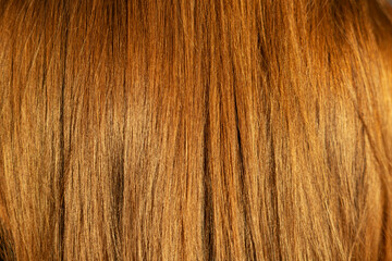 Naklejka premium Close-Up Texture of Shiny Red Hair. Detailed close-up of smooth red hair strands showing natural shine, warm color, texture, and healthy hair care beauty.