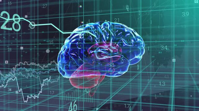 Data feed starting translucent 3D brain rotating, tilting, numeric charts updating to map activity