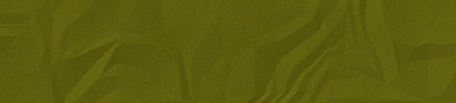 Close-up texture of green grass field