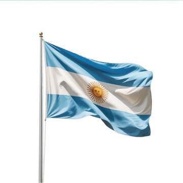 waving argentina flag isolated on white background vector