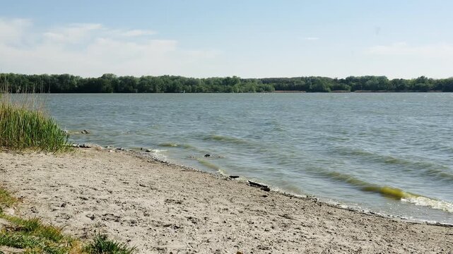 gentle waves moving toward the sandy shore of lake tata in hungary with sunlit reeds and distant tree line shaping a calm wide lakeside scene full of soft motion and natural atmosphere