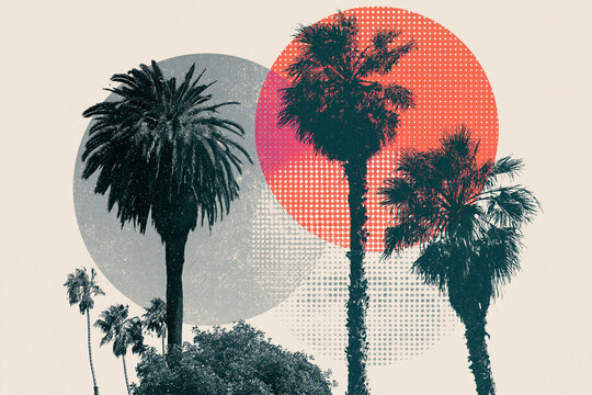 Palm tree collage with halftone dot pattern and geometric shapes. Tropical nature design in vintage risograph style. Artistic modern illustration for summer travel, vacation and lifestyle graphic art