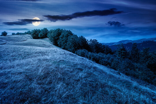 carpathian mountain field at night. mysterious view of countryside summertime landscape with valley behind the forest on the hill. full moon over clouds on a sky. travel background for hiking season