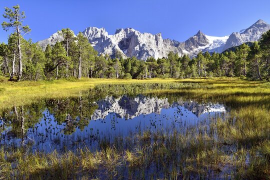 Chaltenbrunnen bog with the Engelh&ouml;rnern mountains and Rosenlaui Glacier, Kaltenbrunnen, Rosenlaui, Meiringen, Canton of Bern, Switzerland